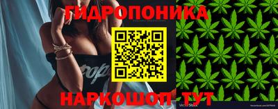 PSILOCYBIN Чапаевск