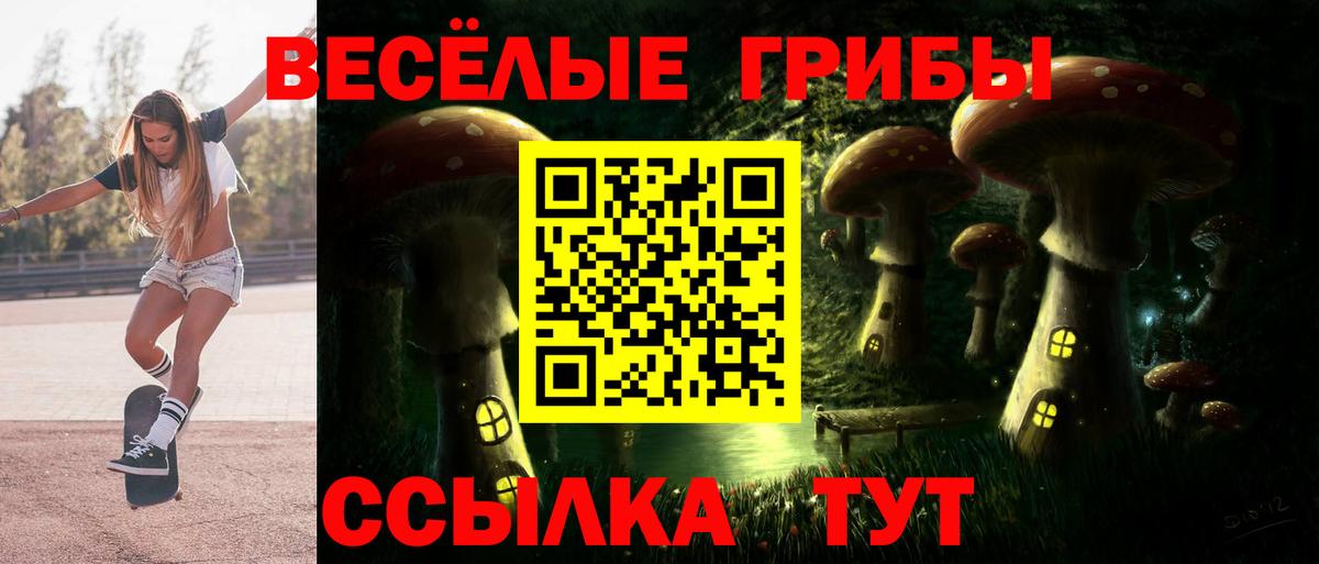Галлюциногенные грибы Cubensis Набережные Челны