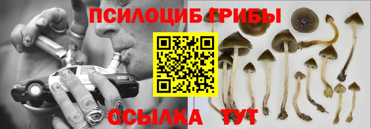 Галлюциногенные грибы MAGIC MUSHROOMS  где можно купить   Набережные Челны  Вход с VPN 